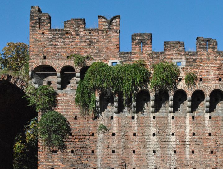 I capperi che crescono sul Castello Sforzesco